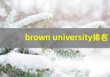 brown university排名